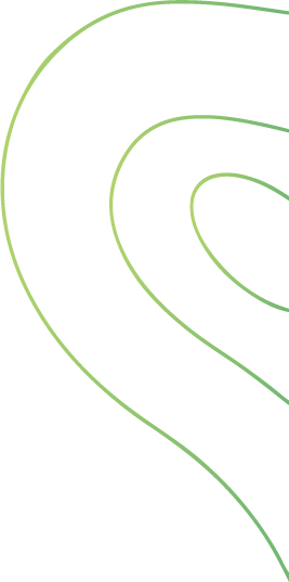 Shape Image